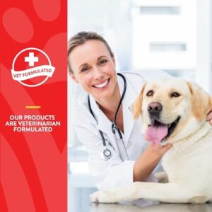 Online Dog Illness Symptom Checker