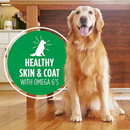 Homemade Dog Food for Optimal Health