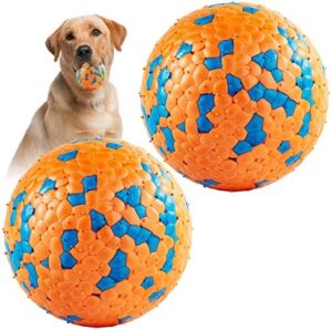 Right Brain Games for Your Dog's