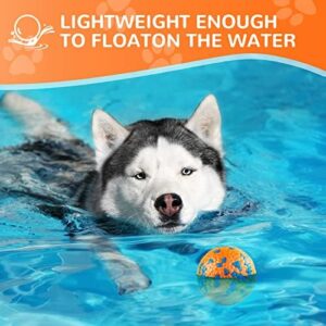 Dog's Increased Water Consumption

