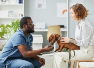 Dog Illness Symptoms Checker