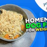 Homemade Dog Food for Weight Loss