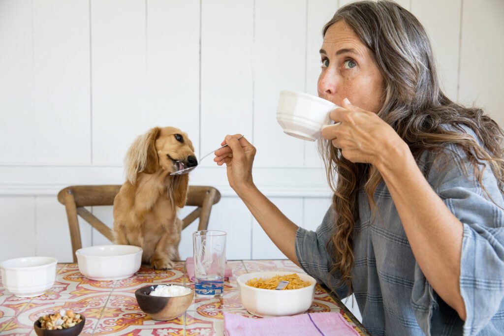 Photo inspiration: Picture Idea: Can Dogs Have Almond Milk