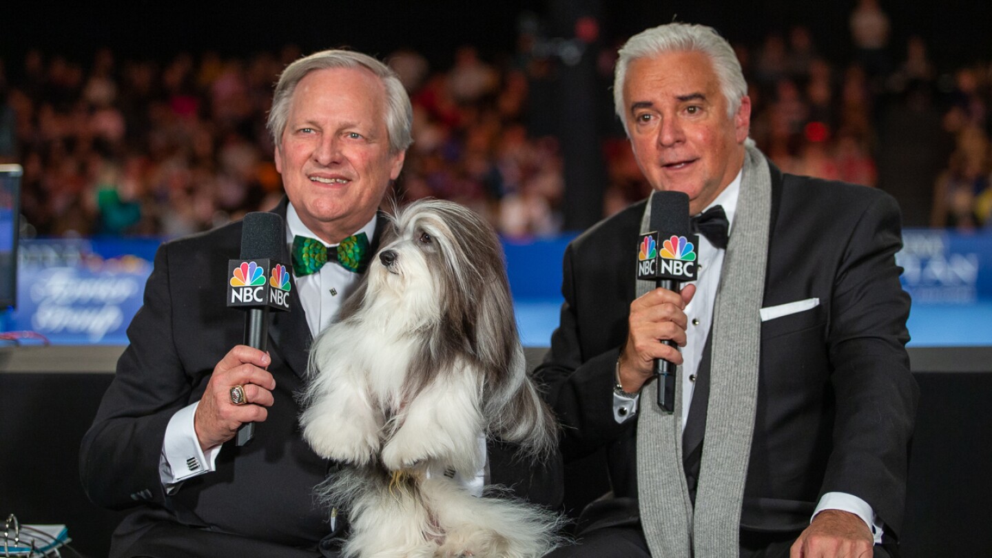 What you need to know about the 2023 Thanksgiving National Dog Show