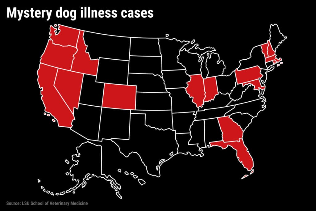 Canine respiratory disease map shows infection spread to 16 states