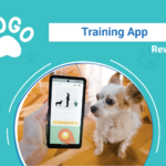 DOG SAPR Dogo Training App
