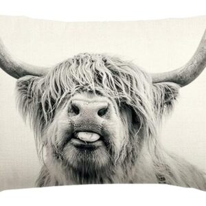 RABUSOFA Highland Cow Pillow Covers 12x20 Inch,Western Decor Wild Yak Throw Pillow Case,Farmhouse Cow Print Stuff Decorative Cushion Covers for Home Sofa Couch