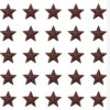 Sowaka 30 Pcs Barn Star with Hole Small Vintage Rustic Primitives Tin Stars for Christmas Halloween Home Farmhouse Wall DIY Crafting Decoration (3 cm)