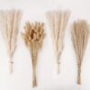 Artificial Pampas Grass Decor, White Pampas Grass Bunny Tails Dried Flowers, Reed Grass Bouquet for Wedding Boho Flowers Home Table Decor, Rustic Farmhouse Party (100 in Total )