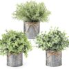 Mkono Mini Fake Plants in Farmhouse Galvanized Metal Pots Table Centerpiece Rustic Home Decor, 3 Pack Potted Artificial Plants Faux Eucalyptus for Shelf Indoor Dining Room Office