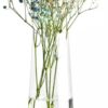 Krosno - Flower Vase | 9,5 x 3,9 in | Pure Collection | Premium Quality Flower Vase | Vase for Flowers for Rustic Home Decor | Decorative Vase for Modern Farmhouse | Durable Glass | Dishwasher Safe