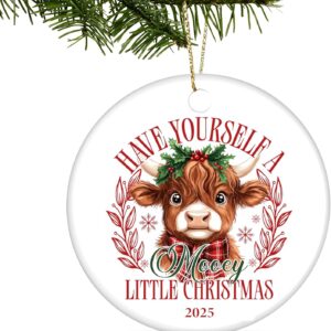 HENKNJAR Highland Cow Gifts for Women - Christmas Ornaments 2025, Birthday Gifts for Mom, Dad, Family, Farmhouse Brown Cow Decor, Highland Cow Gift Ideas - Christmas Tree Decoration Ceramic Ornaments