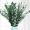 20 Pcs Preserved Dried Eucalyptus Stems, 17" Natural Fresh Eucalyptus Bundles for Shower, Real Plant for Vase Filler, Dried Flowers Arrangement, Home Decor